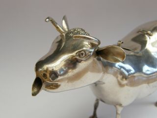 Antique - Rare Large Solid Silver Horned Cow Figure Creamer/Jug - London Imp - c1893 4