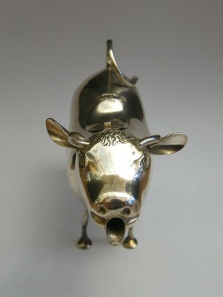 Antique - Rare Large Solid Silver Horned Cow Figure Creamer/Jug - London Imp - c1893 6