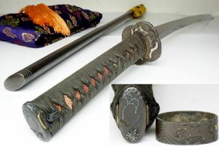 Antique Japanese Katana Sword " Osafune - Sukesada長船祐定 " Samurai Nihonto,  83.  3cm