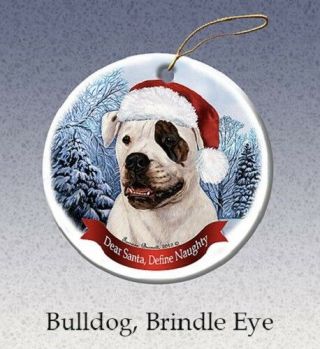 Define Naughty Ornament - American Bulldog With Brindle Eye