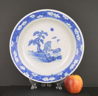 A Perfect Chinese 19th Century Largeporcelain Blue & White Plate With Mark
