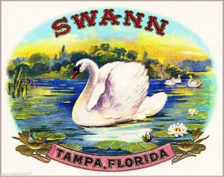 Tampa Florida Swann Swan Smoke Vintage Cigar Box Crate Inner Label Art Print