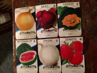 Seed Packets Package 1930 