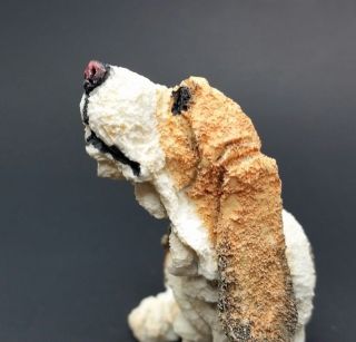 HTF Rare Mini Basset hound dog Figurine CA04336 Country Artists A Breed Apart 2