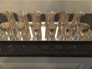 Rare Tiffany Sterling Julep Cup Tumbler 13 Piece Set W/ Tray
