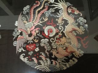 Antique Qing Chinese silk 5 claw dragon Imperial robe MUSEUM PIECE 45x40” frame 3
