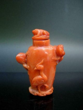 An Antique Chinese Carved Coral Snuff Bottle & Matching Stopper