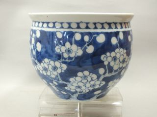 A Chinese Porcelain Jardinere With Blue Prunus Decor 19th Century