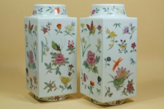 Pair Chinese Famille Rose Butterfly Porcelain Vases.  Marked. 2