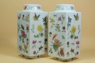 Pair Chinese Famille Rose Butterfly Porcelain Vases.  Marked. 3