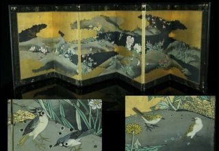 May200 Japanese 6 Panel Folding Screen Byobu Flower & Bird Edo Period