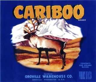 Oroville Washington State Cariboo Deer Antelope Apple Fruit Crate Label Print