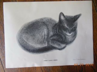 Ltd Print Cat Clare Turlay Newberry Chirn Sa - Hai Grizel