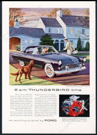 1955 Ford Thunderbird T - Bird Black Car Irish Setter Art Vintage Print Ad