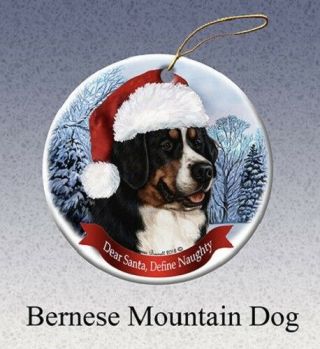 Define Naughty Ornament - Bernese Mountain Dog 019