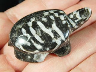 A Small Turtle Figurine Carved From Nevada Fossil Coral 30.  1gr E