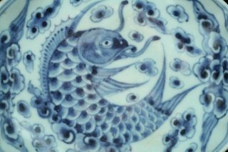 JUL221 KOREAN LATE JOSEON BLUE&WHITE PORCELAIN FISH DESING PLATE DISH 3