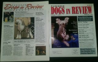 2 Chinese Crested Dogs In Review Magazines Featuring The Breed On The Covers