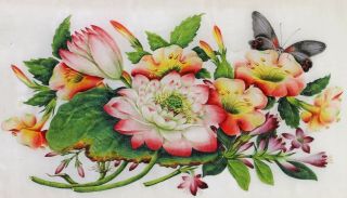Set of Four Antique Chinese Rice Pith Paper Paintings with Flowers 3
