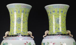Large Pair Antique Chinese Porcelain Vases with Flowers and Butterflies 3