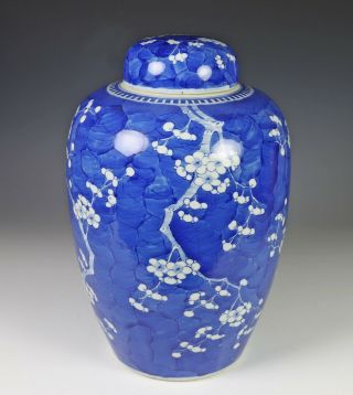 Large Antique Chinese Blue and White Porcelain Covered Prunus Jar 3