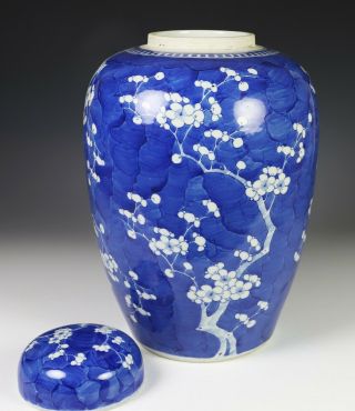 Large Antique Chinese Blue and White Porcelain Covered Prunus Jar 5