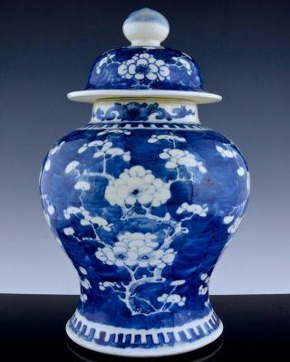 Great Large 19c Chinese Blue White Prunus Tree Landscape Lidded Meiping Jar Vase