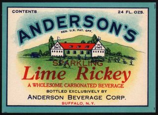 Vintage Soda Pop Bottle Label Andersons Lime Rickey Buffalo Ny N -,
