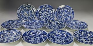 Set Of 11 Antique Chinese Blue And White Porcelain Plates - Kangxi Period