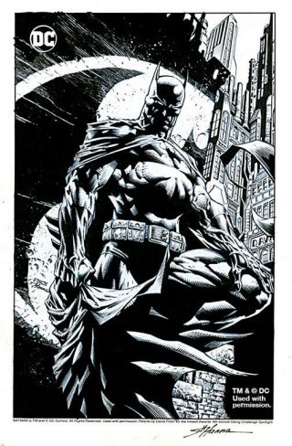 Batman Art Signed David Finch & Scott Hanna W/ 