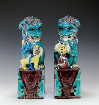 Large And Impressive Antique Chinese Porcelain Foo Dog Statues
