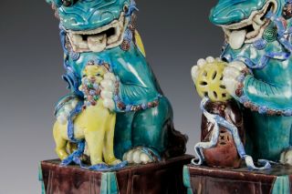 Large and Impressive Antique Chinese Porcelain Foo Dog Statues 6