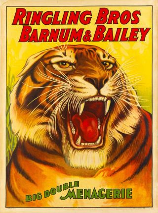 1916 Barnum & Bailey Tiger Vintage Circus Advertisement Art Poster