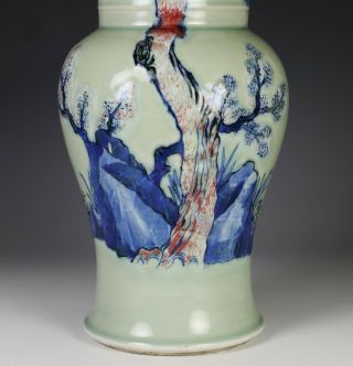 Large Antique Chinese Porcelain Phoenix Tail Yenyen Vase - Kangxi Period 6