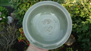 Antique Chinese Porcelain Longquan Celadon Twin Fish Dish Or Bowl Song To Ming