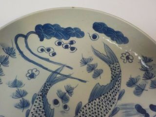 19th C.  Asian Chinese? Blue & White 11.  75 