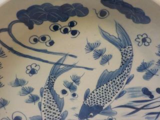 19th C.  Asian Chinese? Blue & White 11.  75 