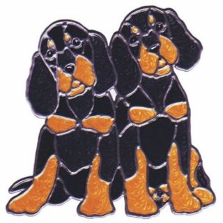 8 " Gordon Setter Puppies