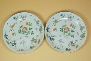A Pair Chinese Famille Rose Porcelain Dishes/plate,  Marked.