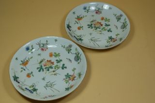 A Pair Chinese Famille Rose Porcelain Dishes/Plate,  Marked. 2