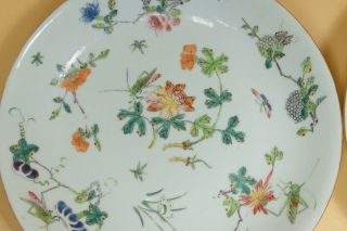 A Pair Chinese Famille Rose Porcelain Dishes/Plate,  Marked. 3
