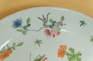 A Pair Chinese Famille Rose Porcelain Dishes/Plate,  Marked. 4