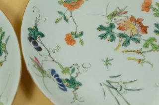 A Pair Chinese Famille Rose Porcelain Dishes/Plate,  Marked. 5