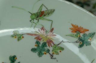 A Pair Chinese Famille Rose Porcelain Dishes/Plate,  Marked. 7