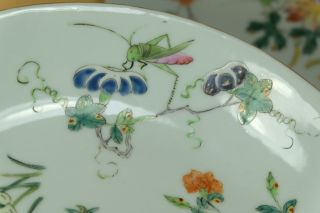 A Pair Chinese Famille Rose Porcelain Dishes/Plate,  Marked. 8