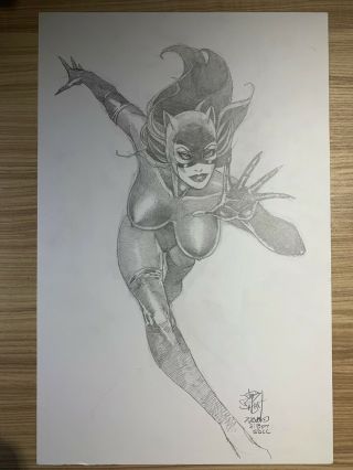 Catwoman Art Sketch & Signed Jim Balent 11x17