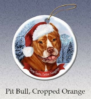 Define Naughty Ornament - Orange & White Pit Bull Terrier 199