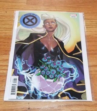 House Of X 2 Pichelli Storm Flower Variant Cover Comic 1st Print Marvel
