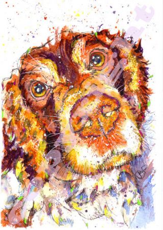 Springer Spaniel Print From Watercolour Painting Watercolor By Josie P