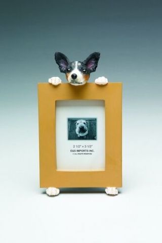 Rat Terrier Picture Frame 15 - 92